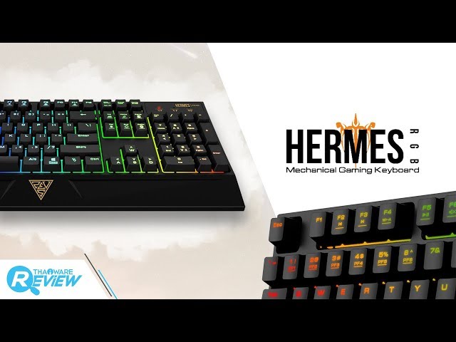   ทดสอบลูกเล่นไฟของแมคคานิคัลคีย์บอร์ด GAMDIAS HERMES RGB