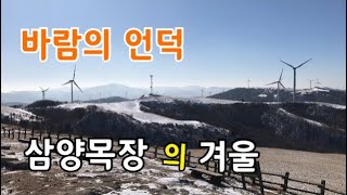 삼양목장 바람의 언덕/ 겨울에 꼭 봐야하는 대관령 최고 명소