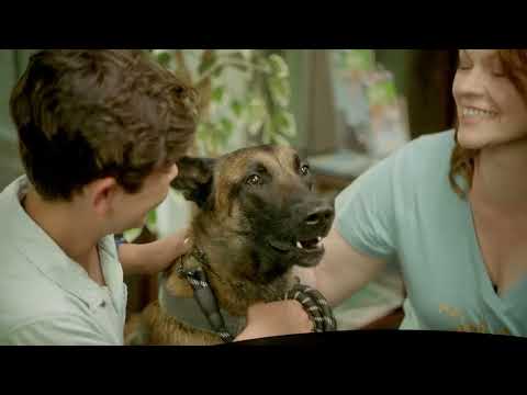 RADAR The Adventures of the Bionic Dog