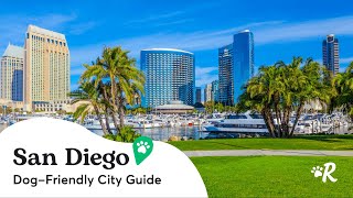 The Ultimate Dog-Friendly San Diego Travel Guide | Best Pet-Friendly Spots with Rover