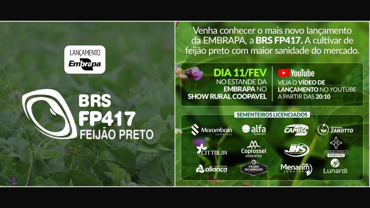 BRS FP417 - Lançamento