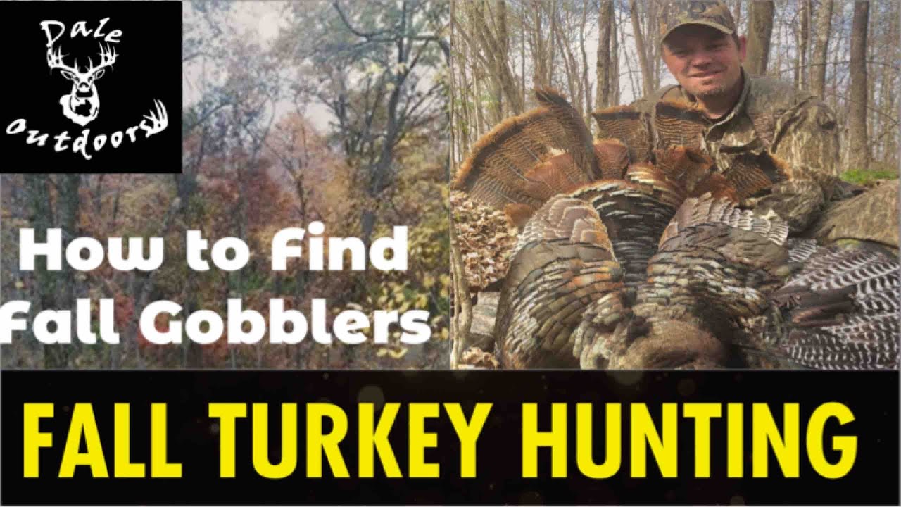 FALL TURKEY HUNTING/ How to Find Fall Gobblers