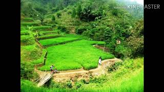 Download lagu Rika rafika _ sesa cinta hd quality mp3