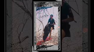 Download lagu Dilip Baria New Timli 2025 ||  Sandeep Rathava New Timli 2025 || Trending Timli 2025 mp3