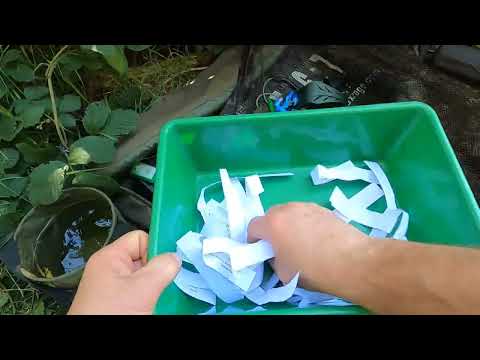 Losowanie konkurs Czerwiec 2022 + nowy Lipiec 2022 START - Proca 🦊" Fox " do zgarniecia + inne