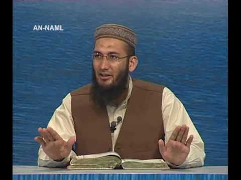 Sout ul Quran 440 - Surah An Naml 27[30-34].wmv