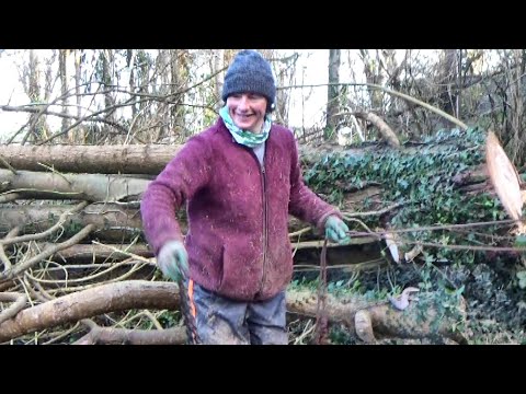 The Field Is Full Of Mud And Timber (but we have an exciting plan!)