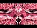 Ozric Tentacles - Spirals in Hyperspace  [Visualization]