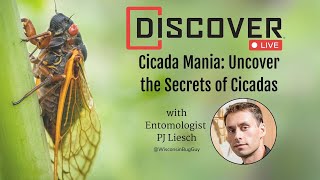 Buzzing with Curiosity: A Live Cicada Q&A with Entomolgist PJ Liesch