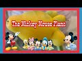 The Mickey Mouse Plant Brisbane Australia