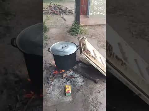 🚨 CHACO: ESCUELA EN COLONIA ABORIGEN AL BORDE DEL COLAPSO — NIÑOS QOM DAN CLASES BAJO LA LLUVIA
