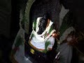 VINAYAGAR Alangaram