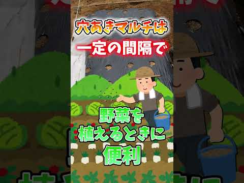 キョウチクトウに最適なマルチは何ですか?成長に最適なヒント  庭園