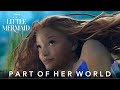 The Little Mermaid Part Of Her World