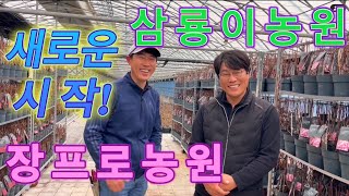 새로운시작! 삼룡이농원과 장프로농원 많은 응원 부탁드립니다~