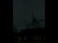 Screaming Chicken On Tree Meme 1 Hour