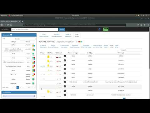 minipeaks tutorial (hg38)
