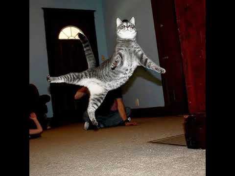 xan x syris - do u remember*