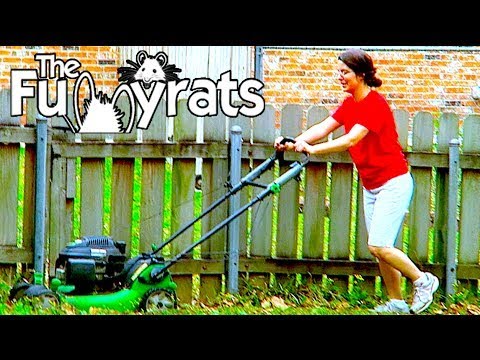 WIFE MOWS THE LAWN | Day 2106