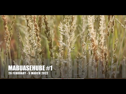 Desert Dream #1 - Mabuasehube 2022