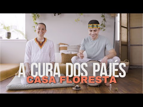A Cura Dos Pajés - Casa Floresta