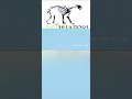 yO lA tEngO - ThE emPtY pOoL