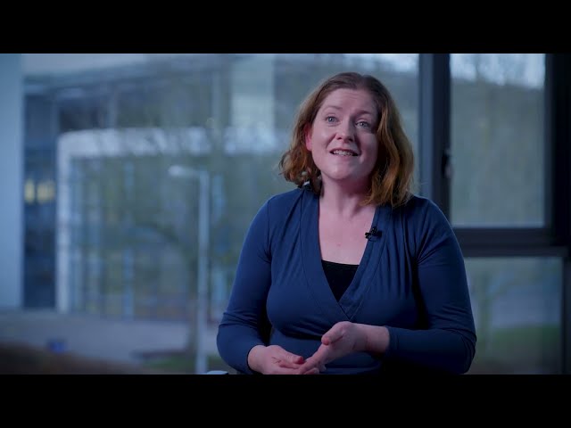 Law with History - DN600