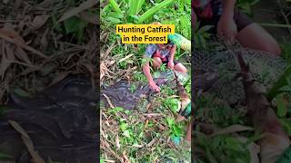 Hunting for Forest Catfish #shortsfeed #rivercrab #fishing #octopusdeploy #usa #ytlifestyle #norway