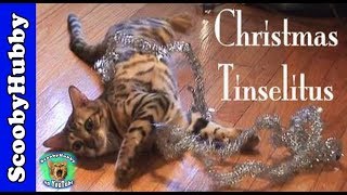 Christmas Tinselitus -- Cat Clips #102
