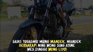 Download lagu Story WhatsApp Vixion jari-jari mp3