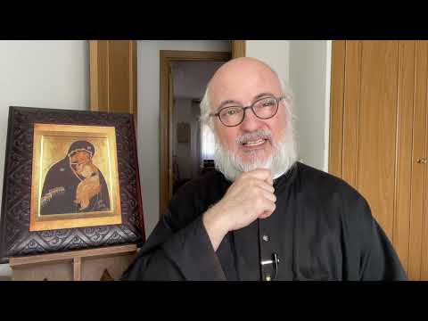 293 El dogma de la infalibidad papal