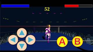 Fighting action game  "Fighting Girls"   Purple VS Pink