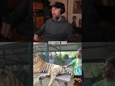 No sense of shame RAW