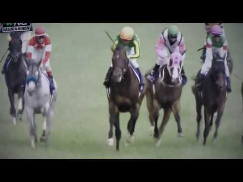 YASUADA KINEN (G1) STAKES - SATONO ALADDIN !!!