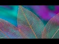 Instrumental Cover Hamari Adhuri Kahani Title Track