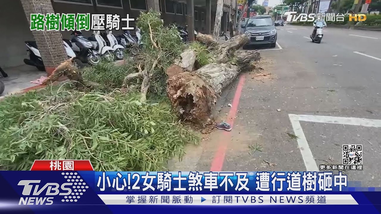 駕駛倒車不慎撞倒路樹 2騎士被壓傷倒地
