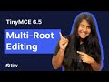 TinyMCE 6 5 Introducing Multi Root Editing