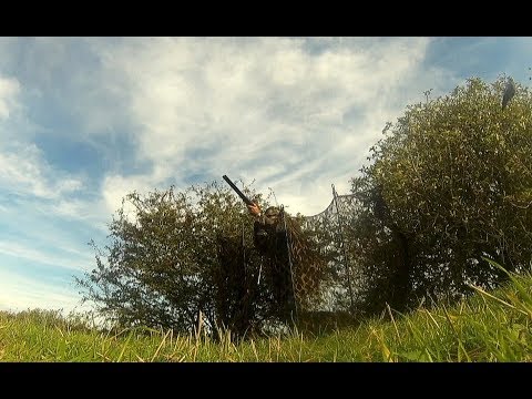 Part 1 of the Shooting season 2018 2019 - Pigeons