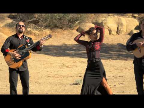 Flamenco Tropical Performance