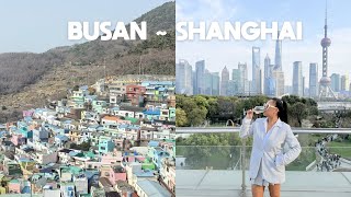 Busan 🇰🇷 & Shanghai 🇨🇳 Port Days | World Cruise Vlog Ep. 12