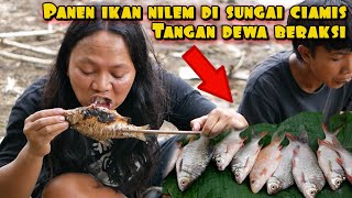 Download lagu THE HANDS OF GODS IN ACTION HARVESTING RIVER FISH WITH BARE HANDS mp3