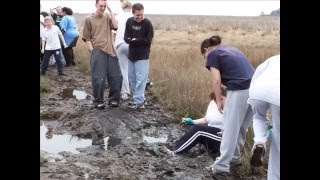 Build Me Up Wallops Island