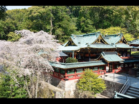 久能山東照宮について Kunozan Toshogu Shrine 【eng sub】