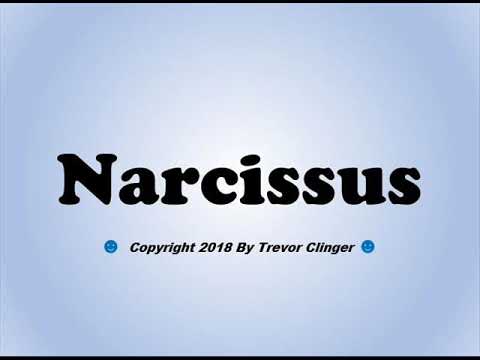 How To Pronounce Narcissus