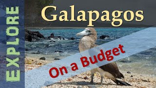 Galapagos Islands on a Budget