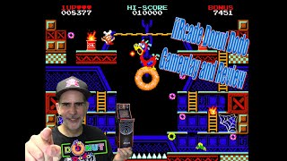 iiRcade Donut Dodo Review and Gameplay