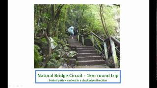 preview picture of video 'Natural Bridge Springbrook National Park Gold Coast Hinterland'