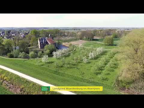 Natuurbeelden landgoed Waardenburg en Neerijnen