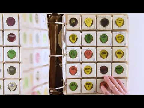 Rock and Roll Lifetime Collection of (1200) Stage-Used Guitar Picks