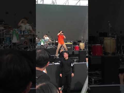 잔나비 한수원 정글